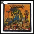VIOGRESSION -- Patch (1).jpg