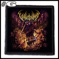 VULVODYNIA -- Patch (6).jpg