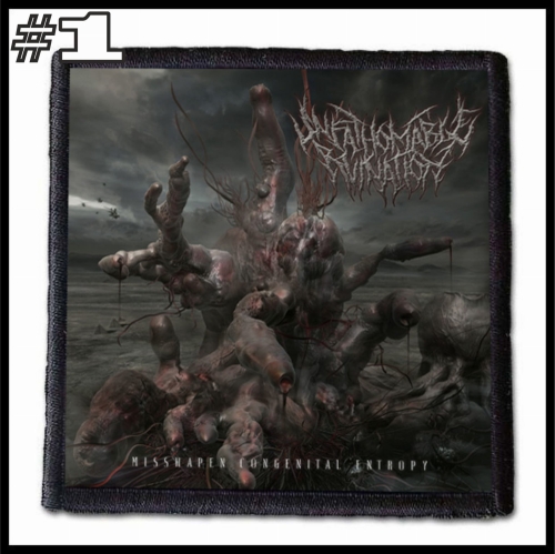 UNFATHOMABLE RUINATION -- Patch (1).jpg