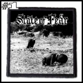 STATE OF FEAR -- Patch (1).jpg