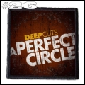 A Perfect Circle --- Patch (26).jpg