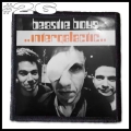 BEASTIE BOYS -- Patch (26).jpg