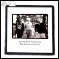 BEASTIE BOYS -- Patch  (4).jpg