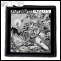 BIRDFLESH -- Patch (16).jpg