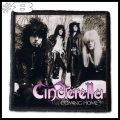 CINDERELLA -- Patch (8).jpg