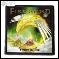 FIREWIND -- Patch (3).jpg