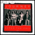 JOURNEY -- Patch (30).jpg