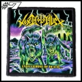 TOXIC HOLOCAUST Patch (7).jpg