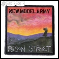 NEW MODEL ARMY -- Patch (33).jpg