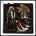 PARADOX -- Patch (14).jpg