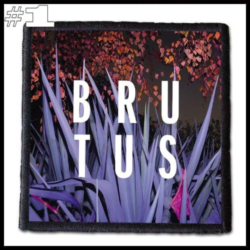 BRUTUS -- Patch (1).jpg