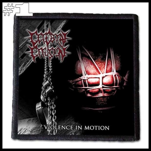 CEREBRAL EFFUSION -- Patch (1).jpg