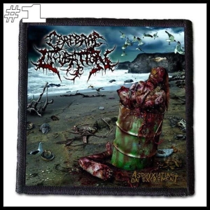 CEREBRAL INCUBATION -- Patch  