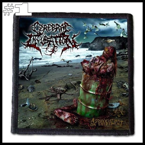 CEREBRAL INCUBATION -- Patch (1).jpg