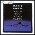DAVID BOWIE -- Patch (19).jpg
