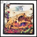 EARTH -- Patch (6).jpg