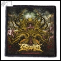 INGESTED -- Patch (1).jpg