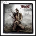 INGESTED -- Patch (3).jpg
