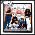 WASP -- patch (17).jpg