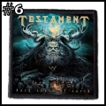 TESTAMENT -- patch (6).jpg