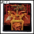 TESTAMENT -- patch (8).jpg