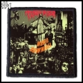 TERRORIZER -- patch (1).jpg