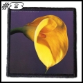 SWANS -- Patch (8).jpg
