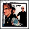 DIE ARZTE -- Patch (11).jpg