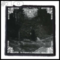DROWNING THE LIGHT -- Patch (10).jpg