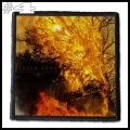 INTER ARMA -- Patch (4).jpg