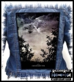 INSOMNIUM - One for Sorrow.jpg