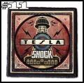 TESLA -- Patch (11).jpg