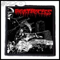AGATHOCLES -- Patch (20).jpg