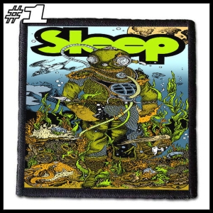 SLEEP -- Patch