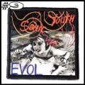 SONIC YOUTH --Patch (9).jpg