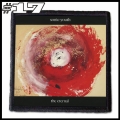 SONIC YOUTH --Patch (17).jpg