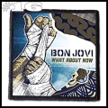 BON JOVI -- Patch (16).jpg