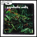 PSYCHOTIC WALTZ (5).jpg