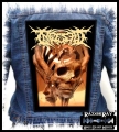 INGESTED - Ashes Lie Still -- backpatch back patch.jpg