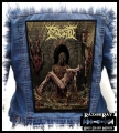 INGESTED - Stinking Cesspool of Liquified Human Remnants -- backpatch back patch.jpg