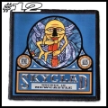 SKYCLAD -- Patch (12).jpg