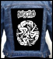 SKYCLAD.jpg