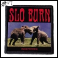 SLO BURN -- Patch (1).jpg