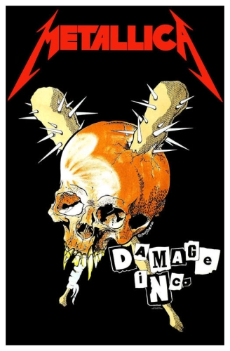 flag METALLICA - DAMAGE INC.jpg
