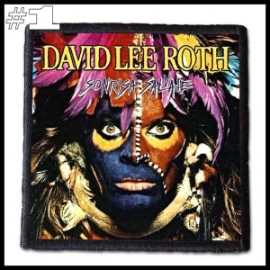 DAVID LEE ROTH -- Patch 