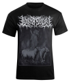 LORNA SHORE [black] 1.jpg
