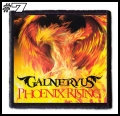 GALNERYUS -- patch (7).jpg