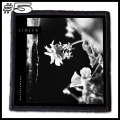 JINJER -- patch (5).jpg
