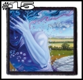 KANSAS -- patch (15).jpg