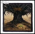 CARCOSA -- Patch (2).jpg